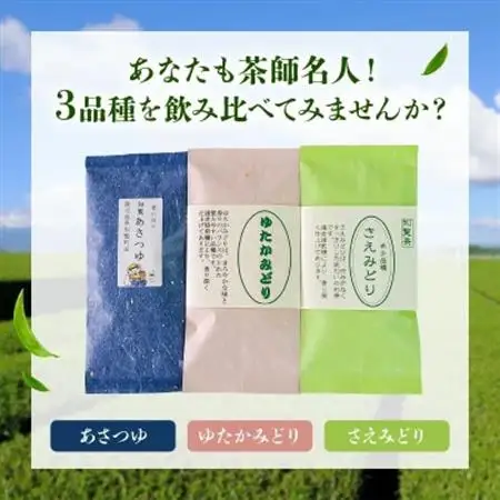 人気3品種知覧茶を贅沢に飲み比べ!【1185944】