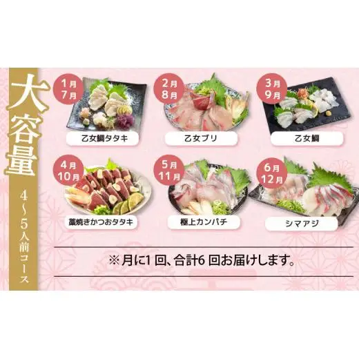 刺身 定期便 6ヶ月 