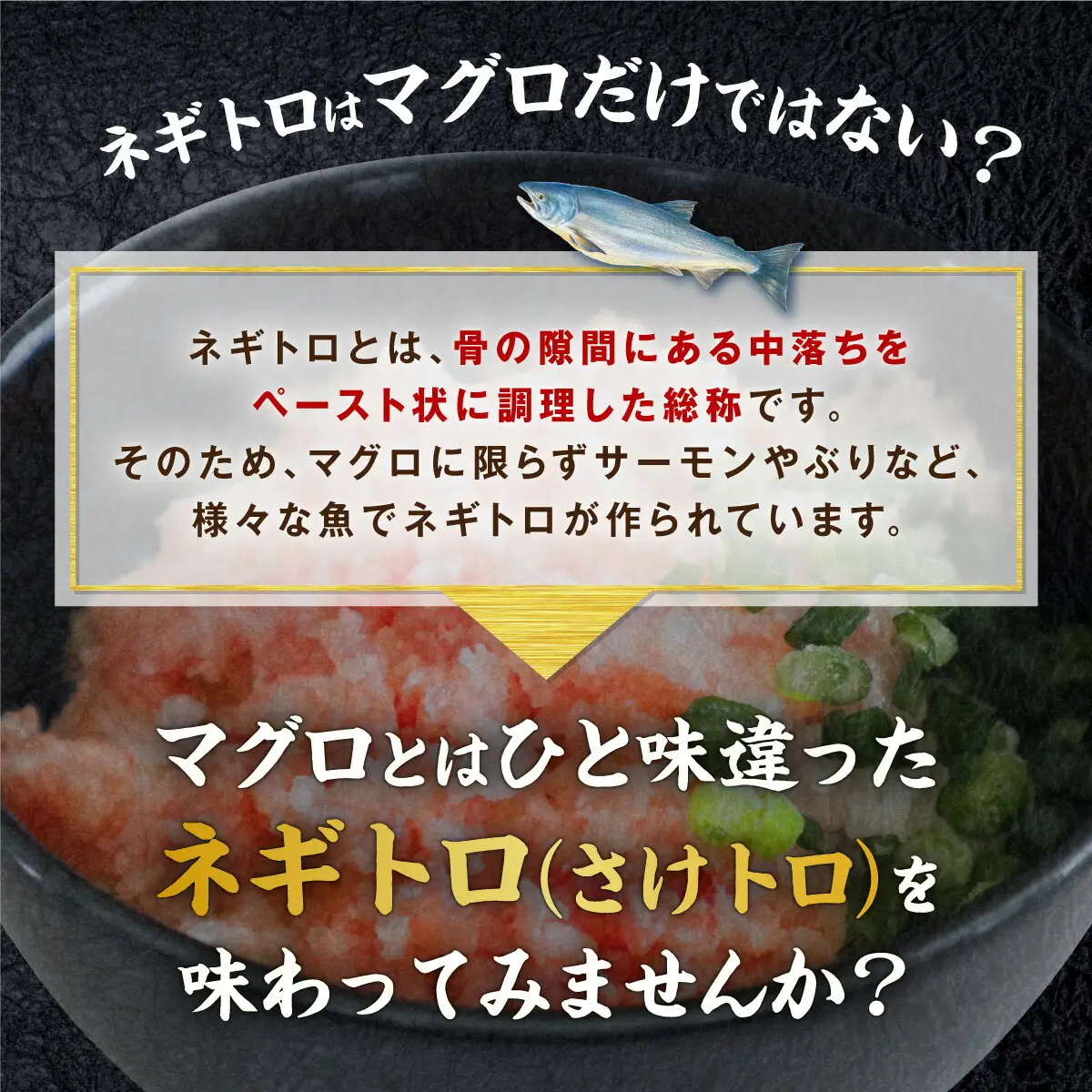 北海道産鮭使用「さけトロ」【40g×20パック（タレ付）】便利な食べきりパック_T012-0530-60DAYS