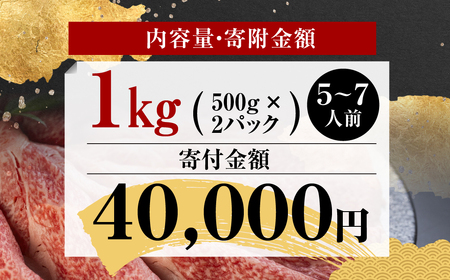 【ふるなび限定】飛騨牛 すき焼き  1kg  すき焼き トキノ屋食品 FN-Limited-PR