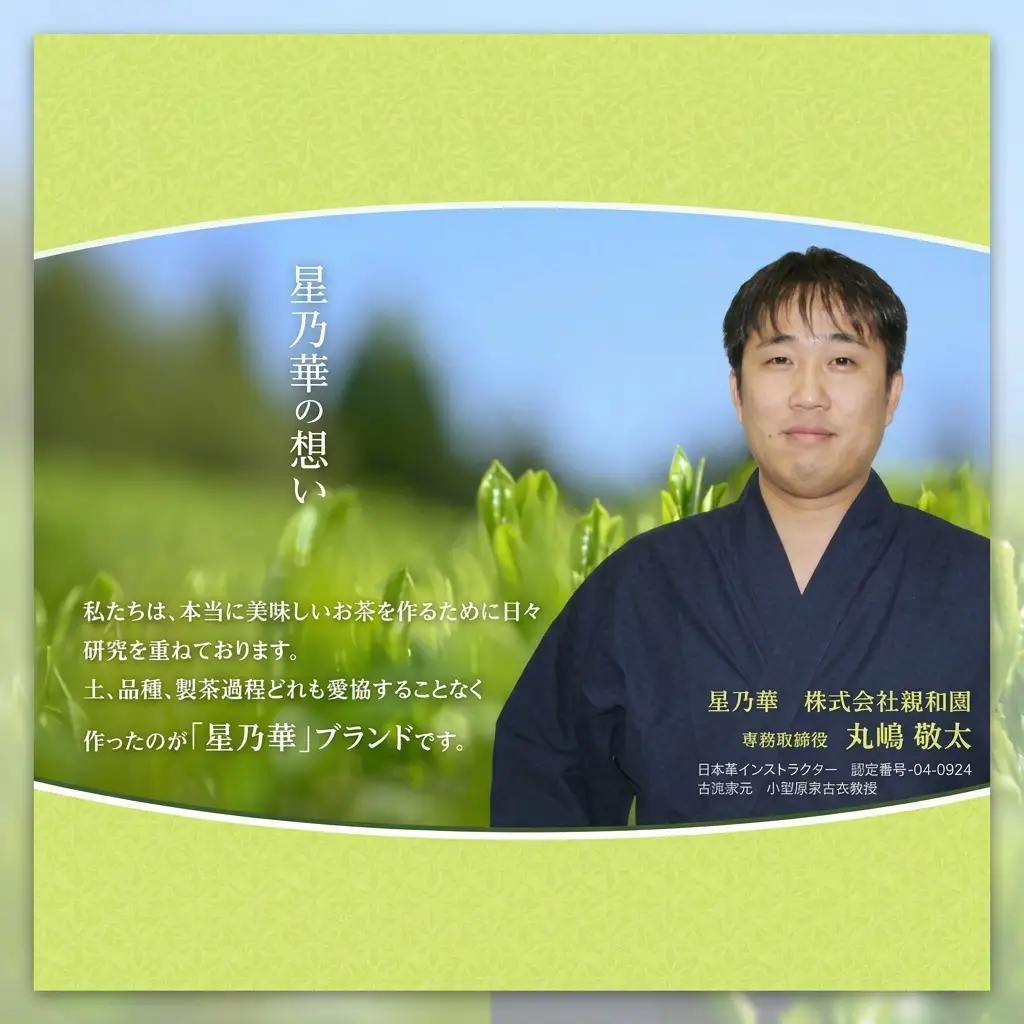 八女茶 訳あり品 深蒸し茶 1100g（100g×11袋） 八女茶 お茶