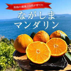 ながしまマンダリン王(大将季) 約5kg【ながしまマンダリングループ】mandarin-7198