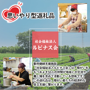 ＜訳あり＞ 南高梅 梅干し (1.1kg) 国産 うめ うめぼし 紫蘇【ルピナス会】【0111503a】