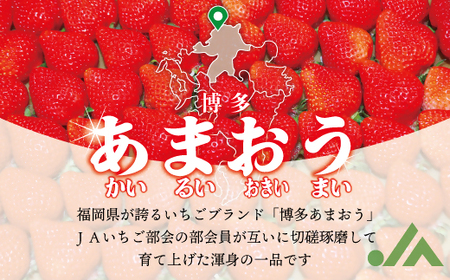 【2027年2月より順次発送】博多あまおう特別6パック 約1.5kg[H2245]