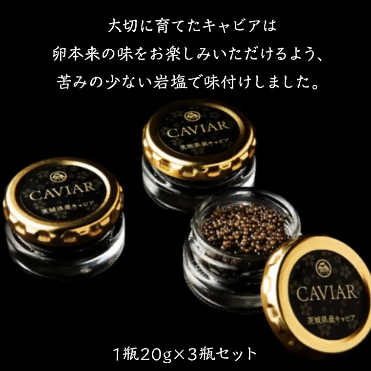 キャビア 詰め合わせ セット 20g×3 キャビア  高級食材  記念日 誕生日 世界三大珍味 国産キャビア 茨城県産 茨城 [AI001sa]