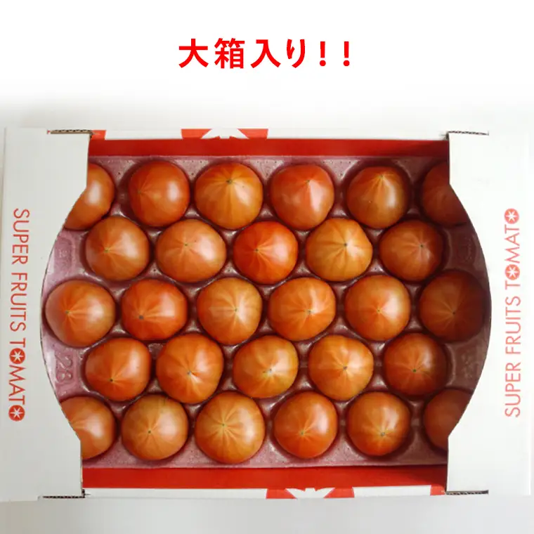 《 2027年 収穫分 》2～6月配送 スーパーフルーツトマト 大箱 約2.6kg × 1箱 (20～35玉/1箱) 糖度9度以上 先行予約 茨城県 桜川市 KEK 国産 トマト フルーツトマト ブランドトマト 野菜 ギフト 贈答 青空レストラン アド街ック天国 グッドモーニング 黄金のワンスプーン 昼めし旅 [BC001sa]