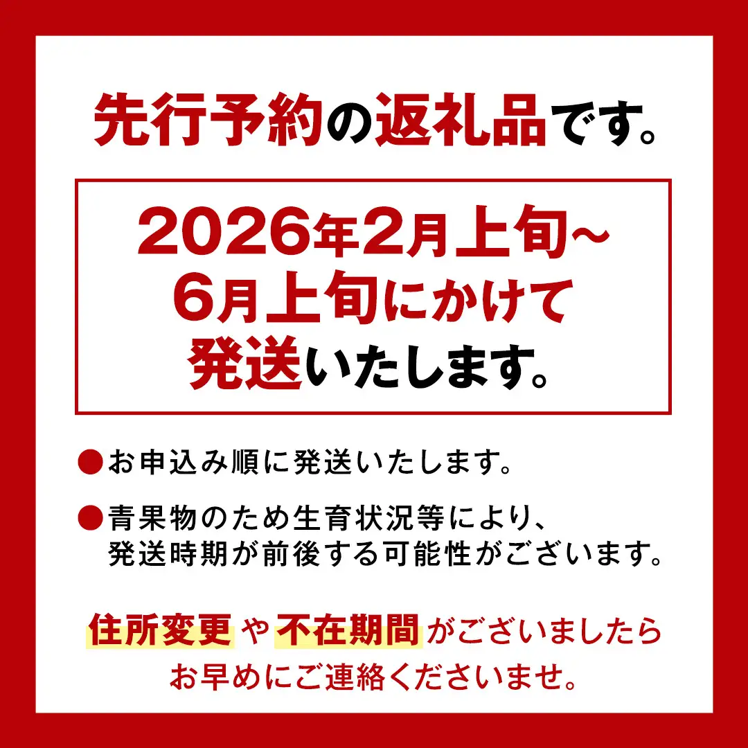 《 2027年 収穫分 》2～6月配送 スーパーフルーツトマト 中箱 約1.2kg × 1箱 (12～18玉/1箱) 糖度9度以上 先行予約 茨城県 桜川市 KEK 国産 トマト フルーツトマト ブランドトマト 野菜 ギフト 贈答 青空レストラン アド街ック天国 グッドモーニング 黄金のワンスプーン 昼めし旅 [BC002sa]