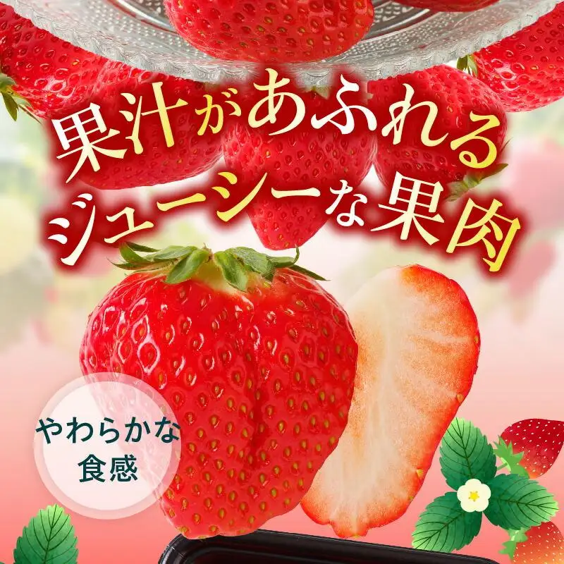 訳あり ご家庭用 さぬきひめいちご(約250g×8パック)【2027年2月上旬～2027年6月下旬配送】