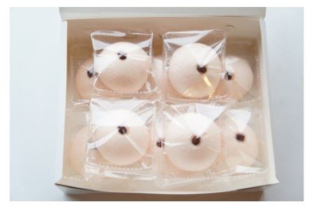 綾子舞本舗タカハシ お赤飯饅頭 10個[Y0338]