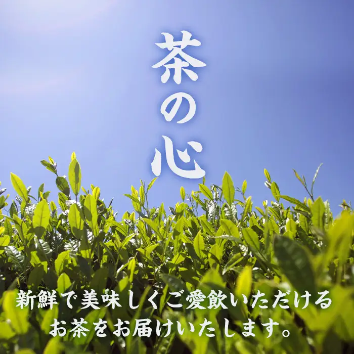 宮崎銘茶3缶(合計220g・深蒸し煎茶、深蒸し玉緑茶、釜炒り茶)お茶 茶葉 緑茶 缶入り 国産 常温 保存【AA-2】【鹿島園本舗】