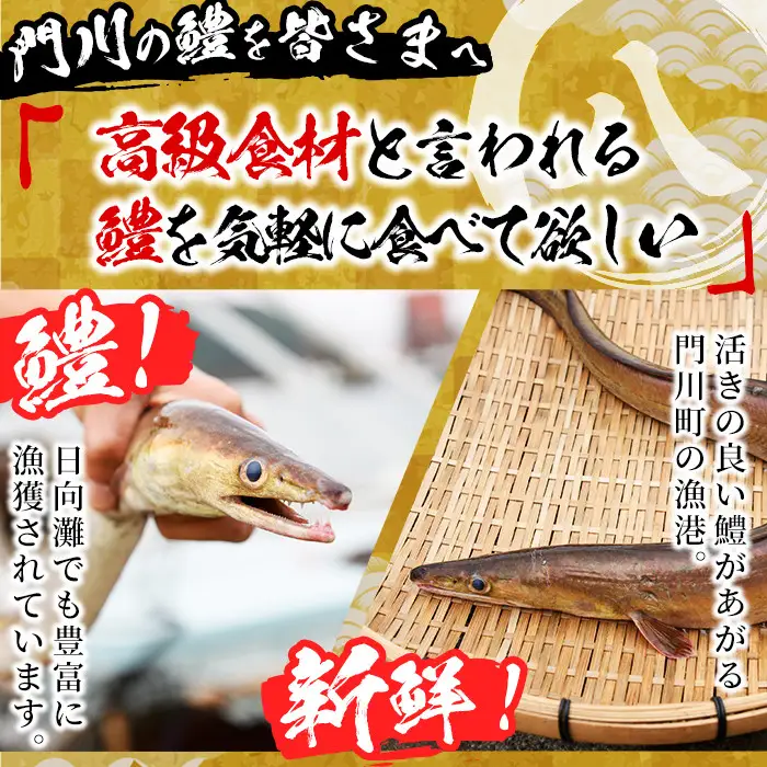 鱧の一夜干し(計1kg)ハモ 干物 魚介 おつまみ おかず 小分け 冷凍 国産 宮崎県 門川町【O-2】【門川漁業協同組合】