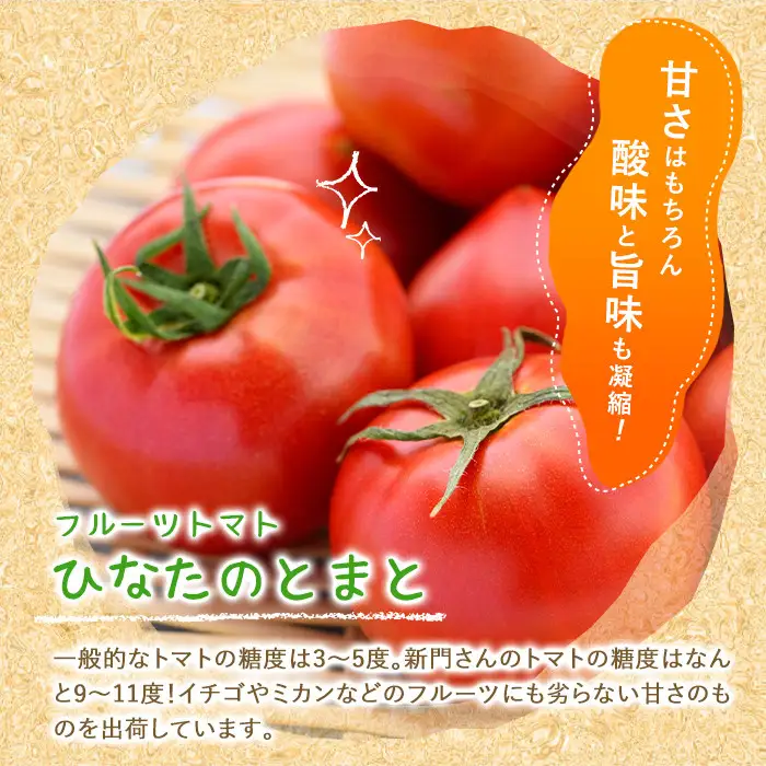 ＜先行予約受付中！2027年1～5月の間に発送予定＞ひなたのとまと(計3.3kg・1.1kg×3箱)トマト フルーツトマト 糖度 9度 以上 野菜 旬野菜 冷蔵 門川町産【A-5】【新門トマト農園】
