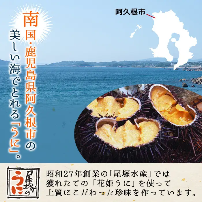 ＼テレビで紹介されました！／＜鹿児島県産うに使用＞濃厚なウニの瓶詰め(4種)国産 九州産 鹿児島産 ウニ うに 雲丹 海胆 水産加工品 ムラサキウニ あわび アワビ 鮑 おつまみ【尾塚水産】akn004-21