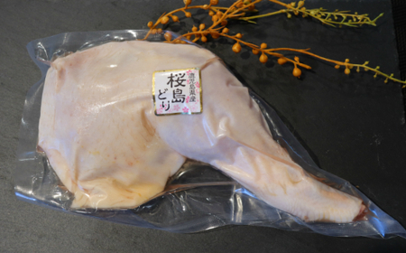 No.1169-2　鹿児島県産骨つき鶏
