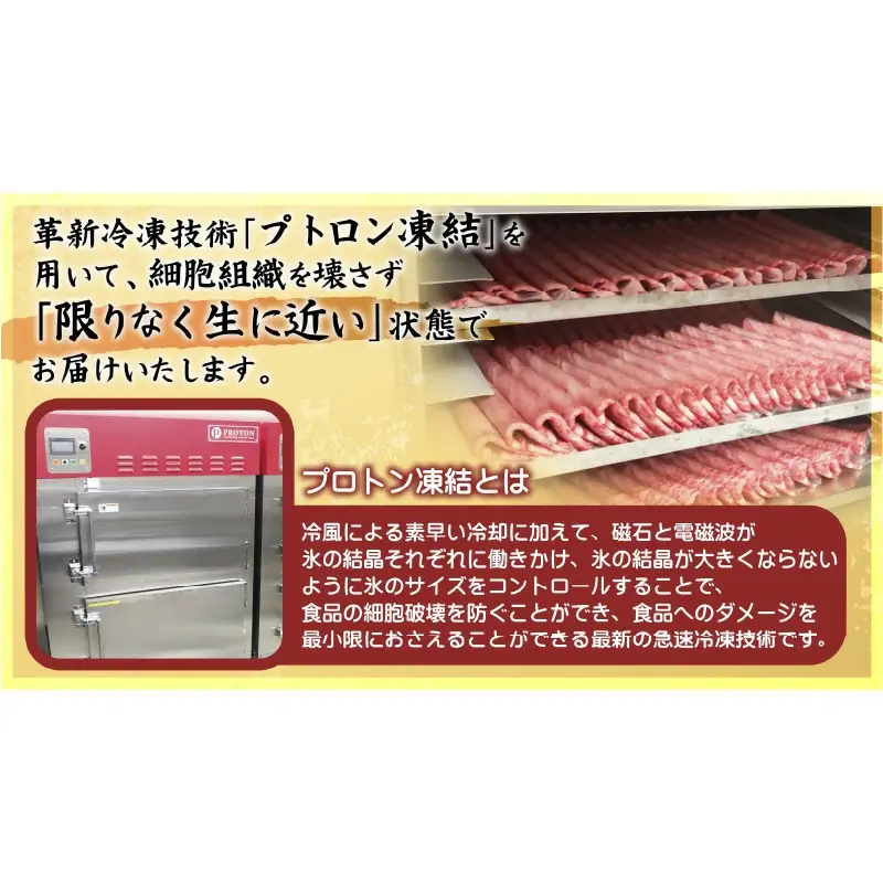 近江牛A5ランクサーロインステーキ 200ｇ×2枚 近江牛