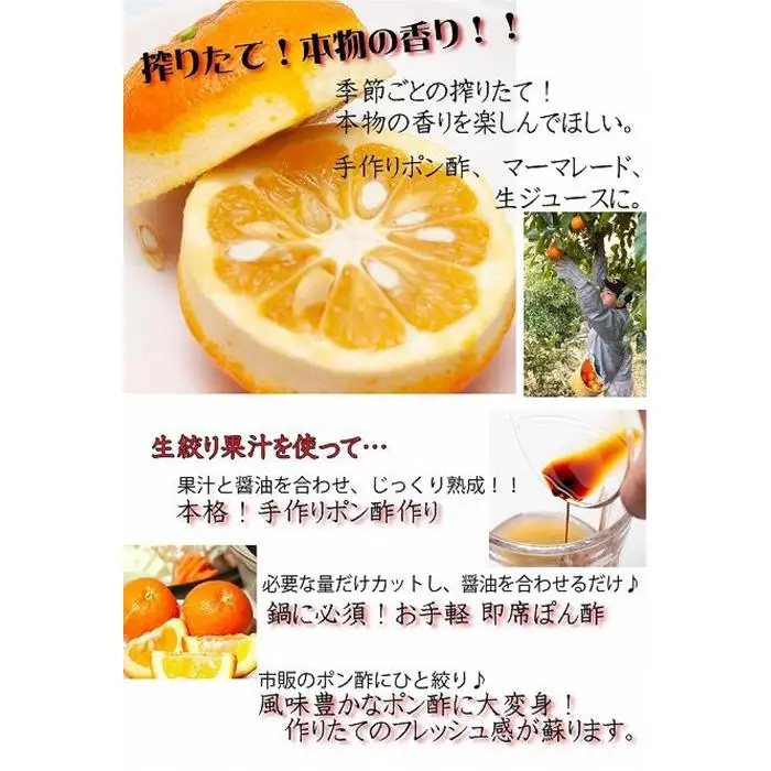 だいだい ポン酢用 だいだい 5kg箱(4.5キロ入り)和歌山県 海南市 鈴木農園直送