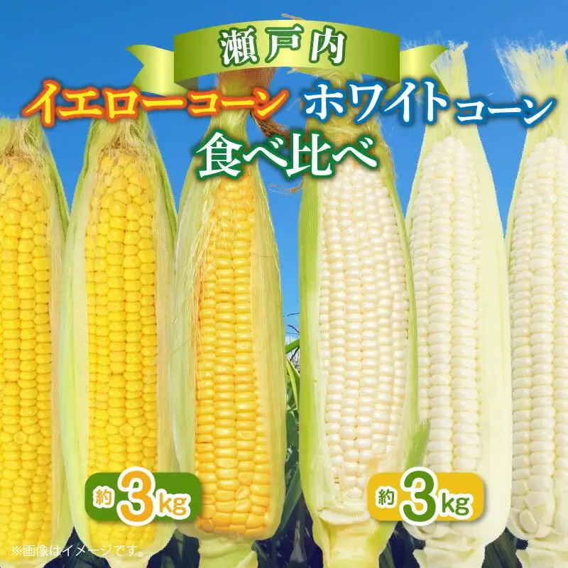 瀬戸内ホワイトコーン・イエローコーン食べ比べ 各約3kg【2027-6月中旬～2027-7月中旬配送】| コーン