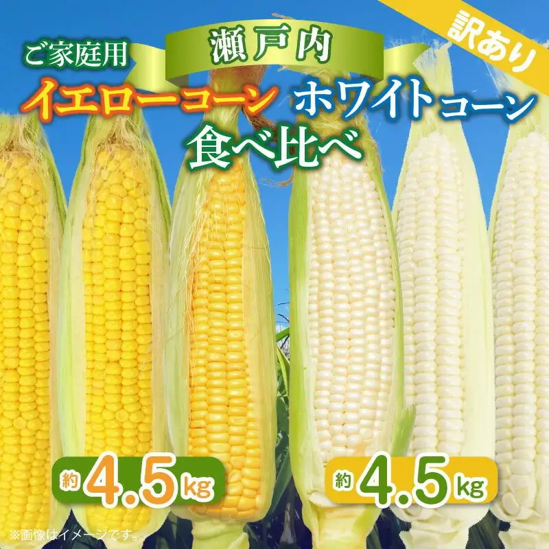 訳あり ご家庭用 瀬戸内ホワイトコーン・イエローコーン食べ比べ 各約4.5kg【2027-6月中旬～2027-7月中旬配送】