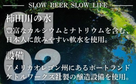 クラフトビール飲み比べ 330ml×6本 クラフトビール