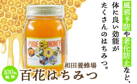 和田養蜂場 百花はちみつ(600g)2本 wh-0004