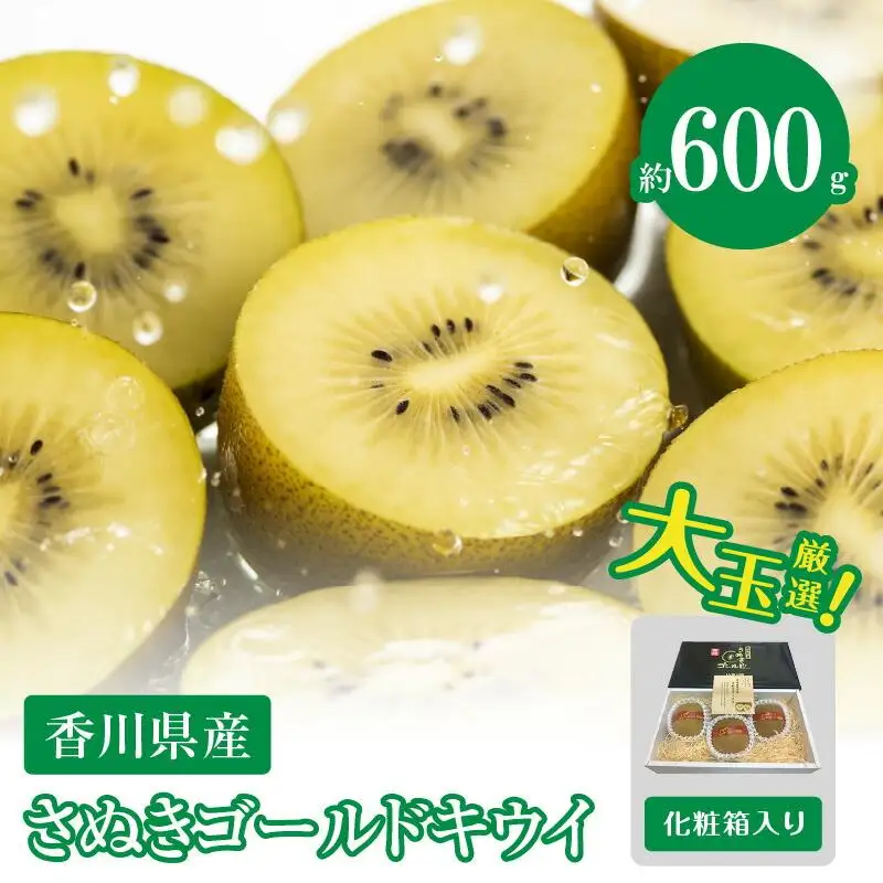さぬきゴールドキウイ化粧箱(大玉)　約600g【2026年10月中旬～2027年1月下旬配送】