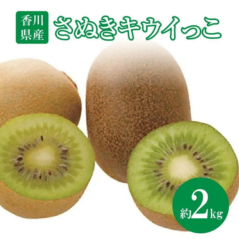 さぬきキウイっこ　約2kg【2026年10月下旬～2026年12月下旬配送】