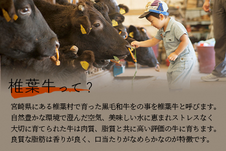 宮崎県産 椎葉牛 切り落とし 2kg A5等級指定 国産牛 黒毛和牛 和牛 牛肉 赤身 肉 A5 すき焼き TK-30