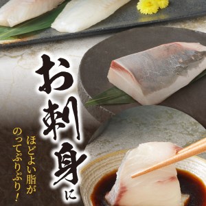 【訳あり】日向灘活〆ﾛｲﾝお刺身3種の食べ比べ計470g以上 N124-YZB059