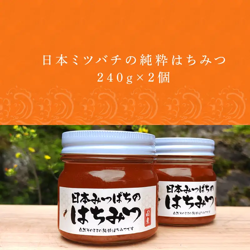 日本ミツバチの純粋はちみつ 240g×2個 (合計480g)