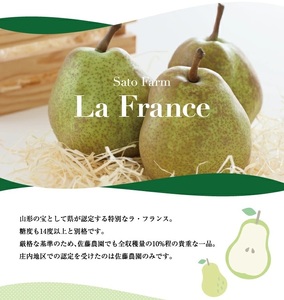 SA3076　六代多右エ門　西洋梨 特選 ラ・フランス《山形セレクション》　約3kg(9～10玉) 