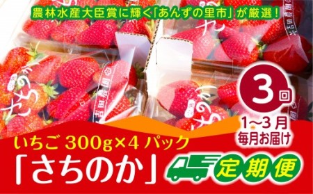 【2027年1～3月発送】【3ヶ月定期便】「さちのか」いちご300g×4Pを3回お届け[H7007]