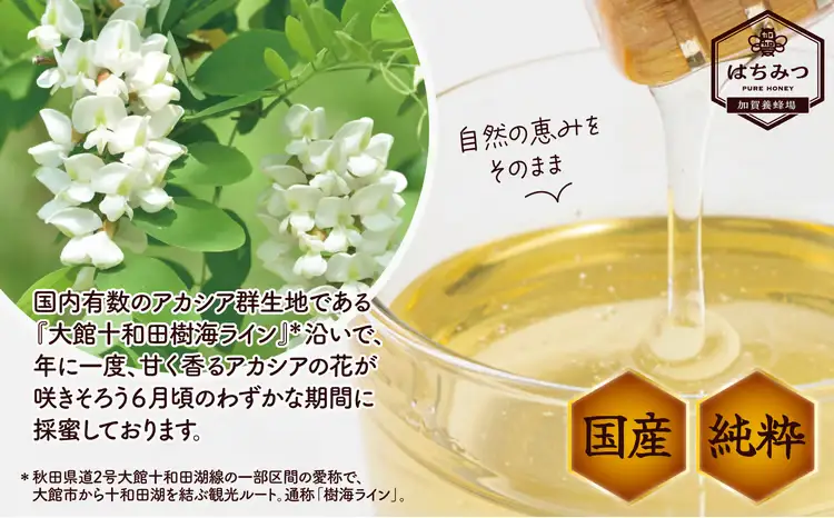 アカシア蜂蜜 500g　50P5409【加賀商店】