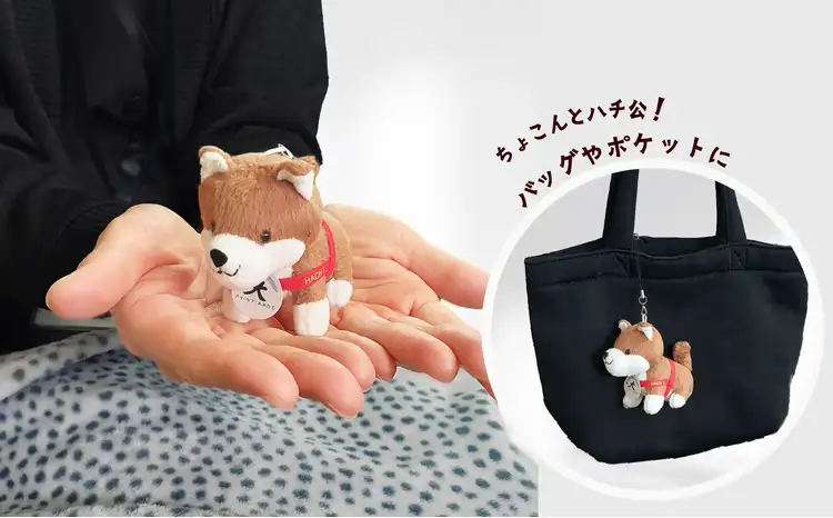 85P7303 ハチ公ぬいぐるみ＆ストラップセット【 カネショウササキ】