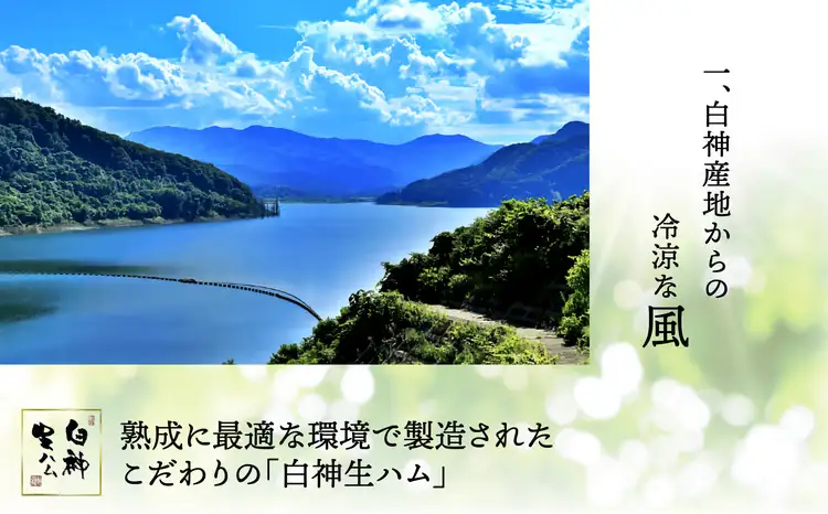 白神生ハム2年熟成150g(50g×3)　75P2701【 しらかみフーズ】