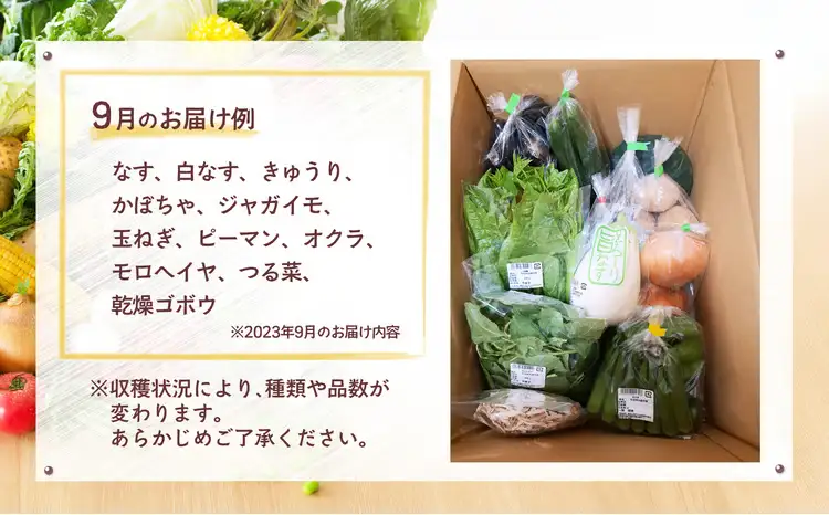 60P3205 旬の野菜宅配便【陽気な母さんの店 】