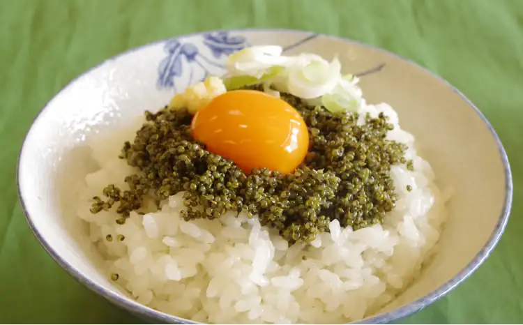 60P3206 大館産とんぶり170g×3【一般社団法人 大館市観光協会】