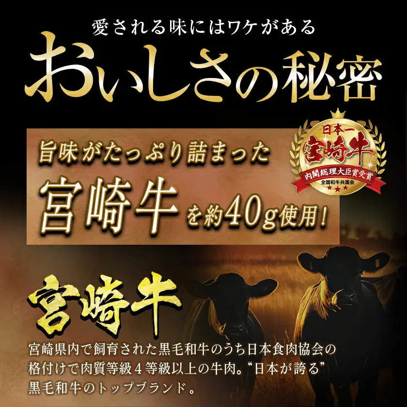 日本一宮崎牛ビーフカレー＆ビーフシチュー※ポスト投函〔LC-1502〕_(都城市) 宮崎牛 ビーフカレー ビーフシチュー 煮込み レトルト パウチ おうち時間 ポスト投函