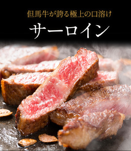 【極上 丹波篠山牛】 サーロインステーキ （3枚入） サーロイン AB15