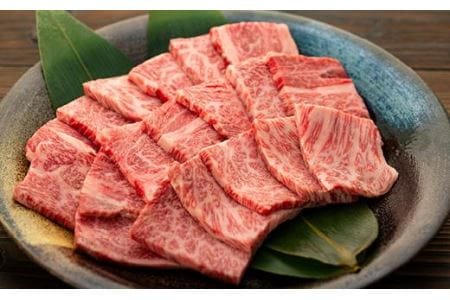【極上 丹波篠山牛】 焼肉セット （ 1kg 5~7人前 ） 焼肉 AB22