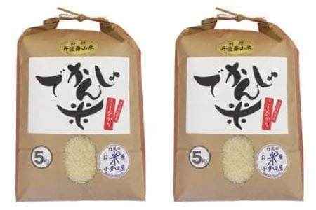 【令和７年産】お米のおいしさを伝えたい！ 特A 丹波篠山産 コシヒカリ (5kg×2袋 計10kg） こしひかり AD17