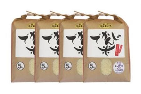 【令和７年産】お米のおいしさを伝えたい！ 特A 丹波篠山産 コシヒカリ (5kg×4袋 計20kg） こしひかり AD18