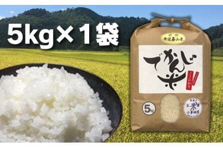 【令和7年産】丹波篠山の地醤油漬・佃煮セット でかんしょ米5kg  実山椒・山蕗 ごはんのお供付き AD25    