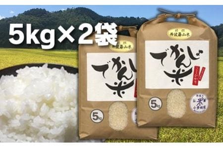 【令和7年産】丹波篠山の地醤油漬・佃煮セット でかんしょ米5kg×２ 実山椒・山蕗　ごはんのお供付き  AD26    