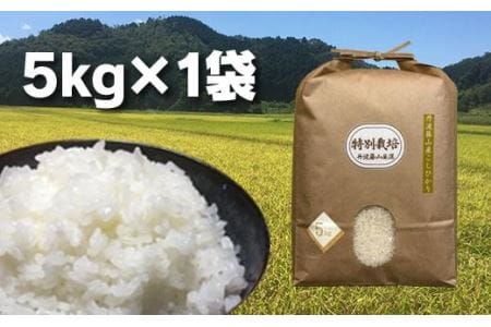 【令和7年産】丹波篠山の地醤油漬・佃煮セット 特別栽培米5kg  実山椒・山蕗 ごはんのお供付き  AD27    