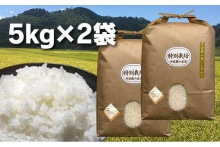 【令和7年産】丹波篠山の地醤油漬・佃煮セット 特別栽培米5kg×２ 実山椒・山蕗 ごはんのお供付き AD28    