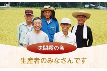 特A〈スピード出荷〉コシヒカリ 湧水米 5kg こしひかり ［Y029-2602］