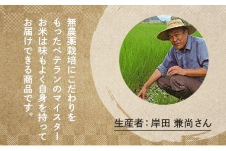 特A 農薬不使用〈スピード出荷〉 特別栽培米 コシヒカリ 越光 5kg こしひかり [Y077-2602]