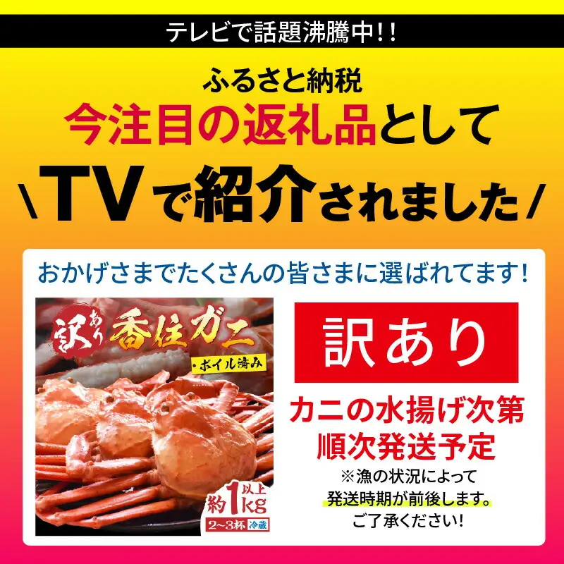 訳あり】 浜茹で 香住ガニ 約1kg以上 【令和8年9月中旬以降発送予定