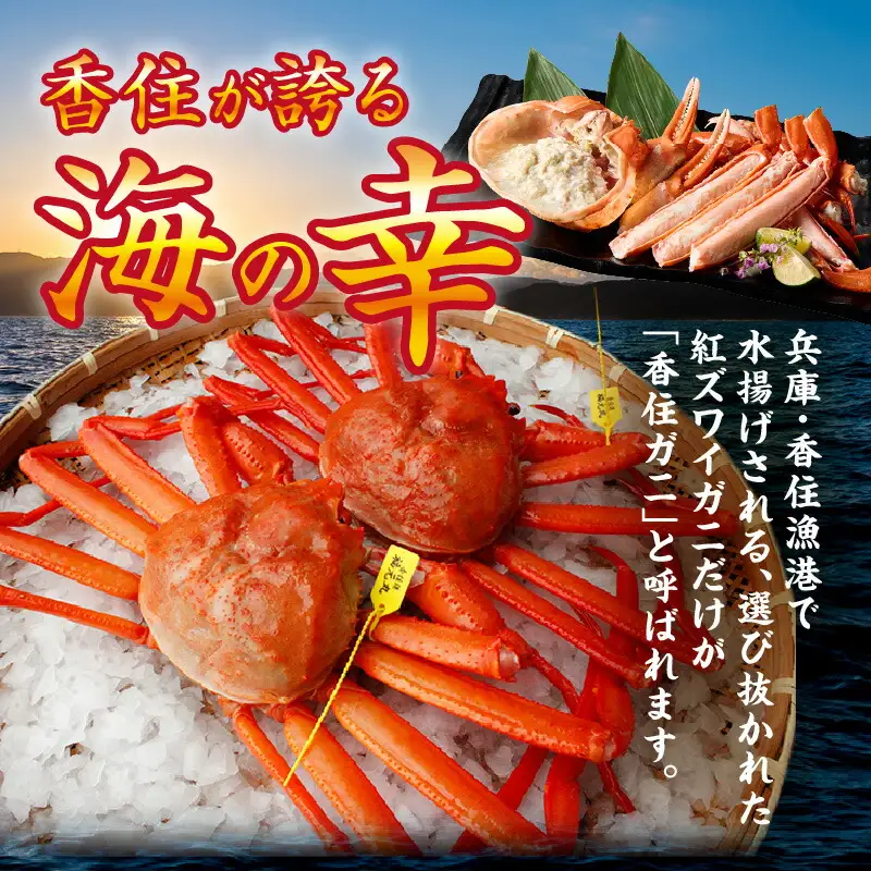 高評価☆4.6 香住ガニ 約600g×2匹（約1.2kg以上）【令和8年9月中旬以降発送予定】かに カニ 07-01
