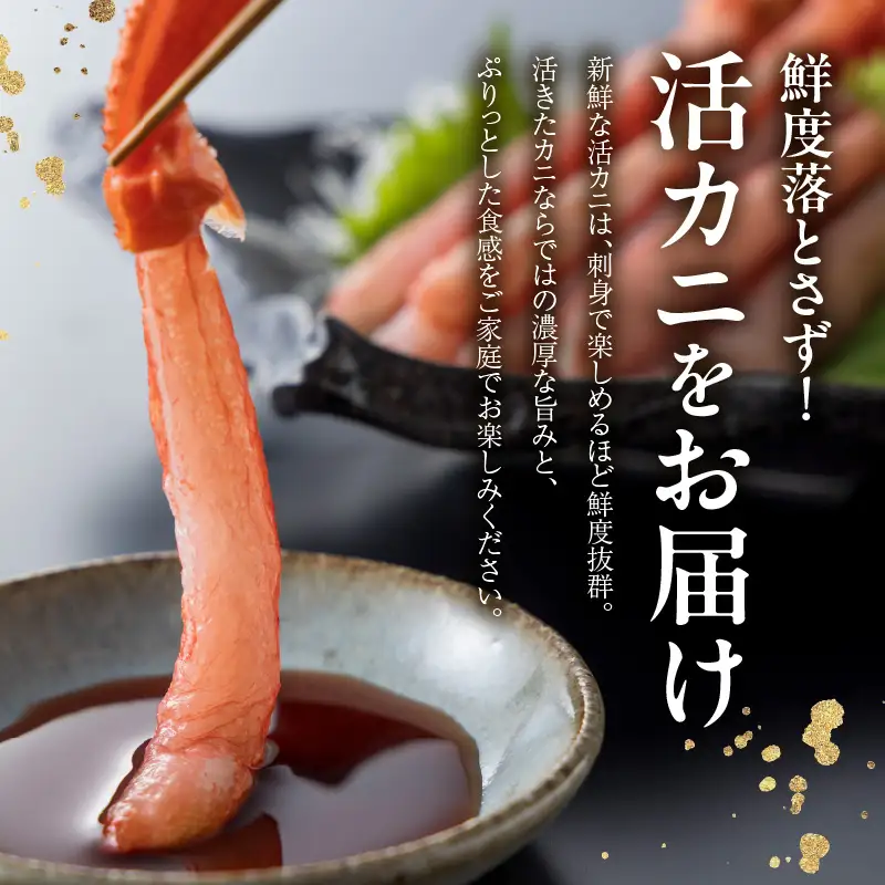 《生》 香住ガニ 大 タグ付き 約800g×2枚【令和8年11月以降発送予定】かに カニ 03-07